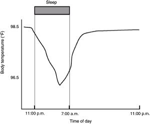 episodio di sonno e ritmo temperatura corporea