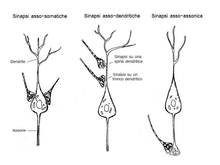 Tipologie di integrazione sinapsi