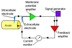  metodo del blocco del voltaggio (Voltage_clamp)