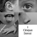 I sistemi sensoriali: introduzione